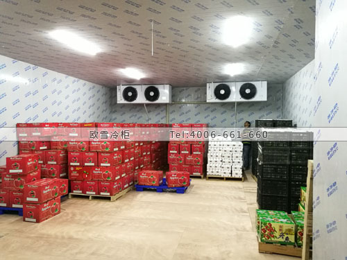 水果保鲜冷库建造.jpg