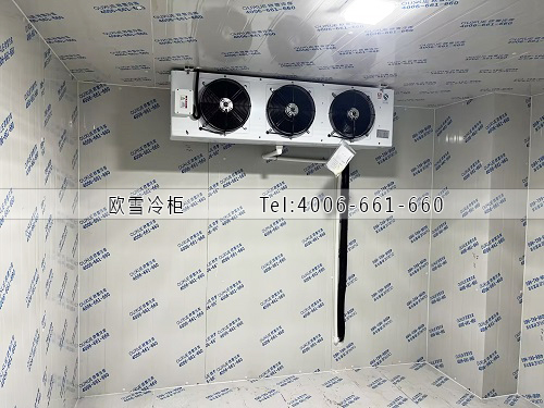 小型冷藏冷库安装.jpg
